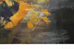 怪獣