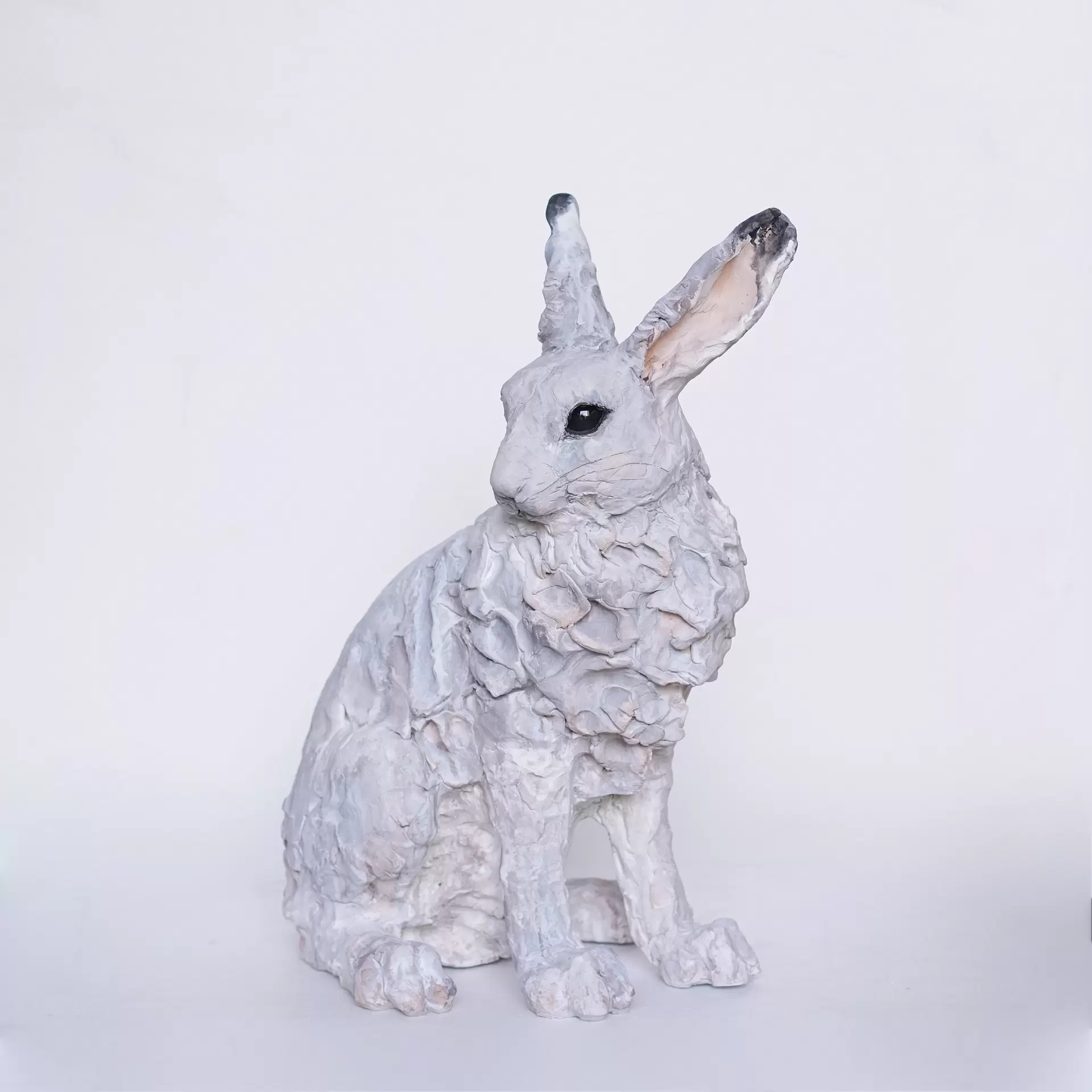 Arctic point - ホッキョクウサギ - by 瀬戸優 | 現代アートの販売