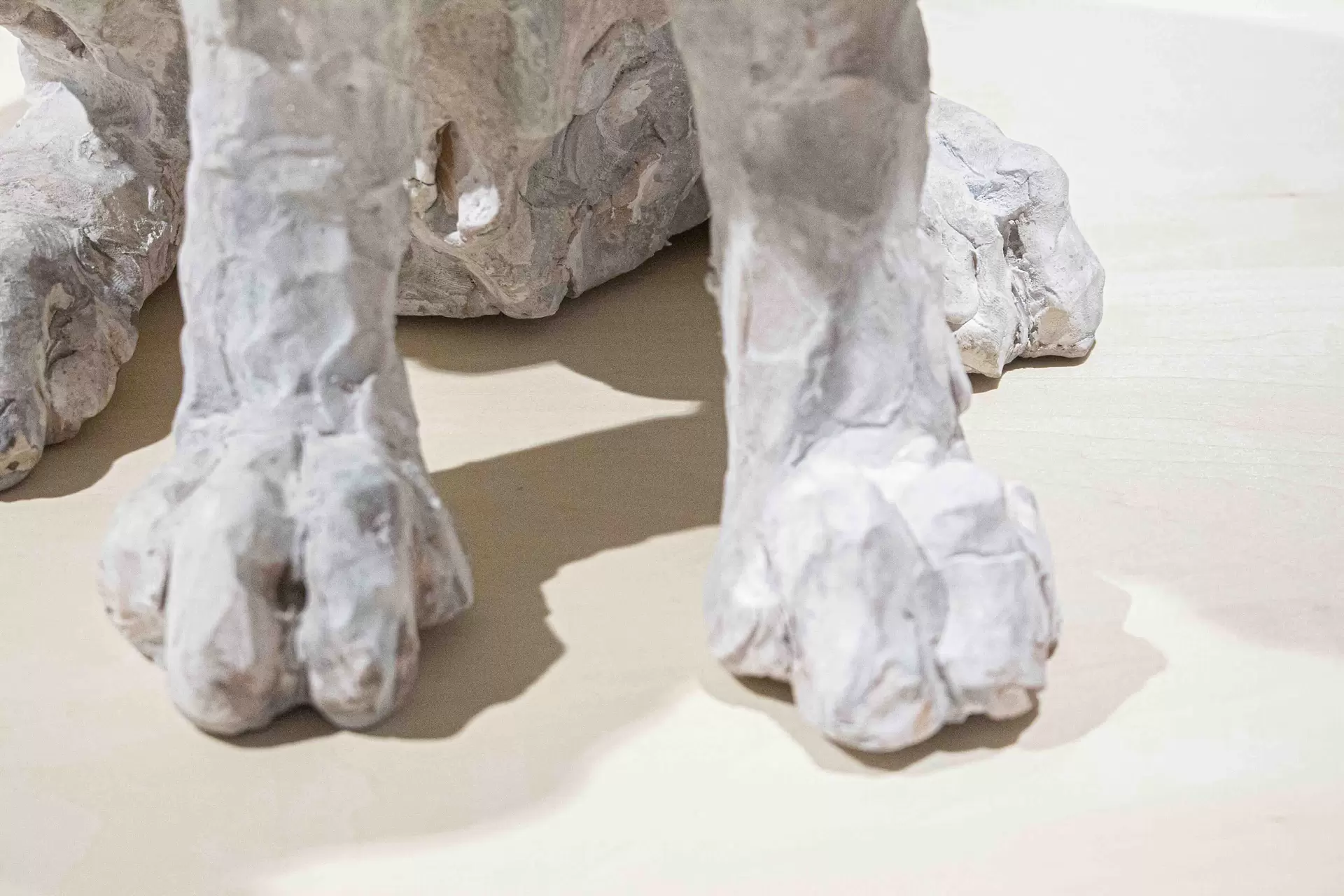 Arctic point - ホッキョクウサギ - by 瀬戸優 | 現代アートの販売・通販 | ArtSticker, image size:1920x1280