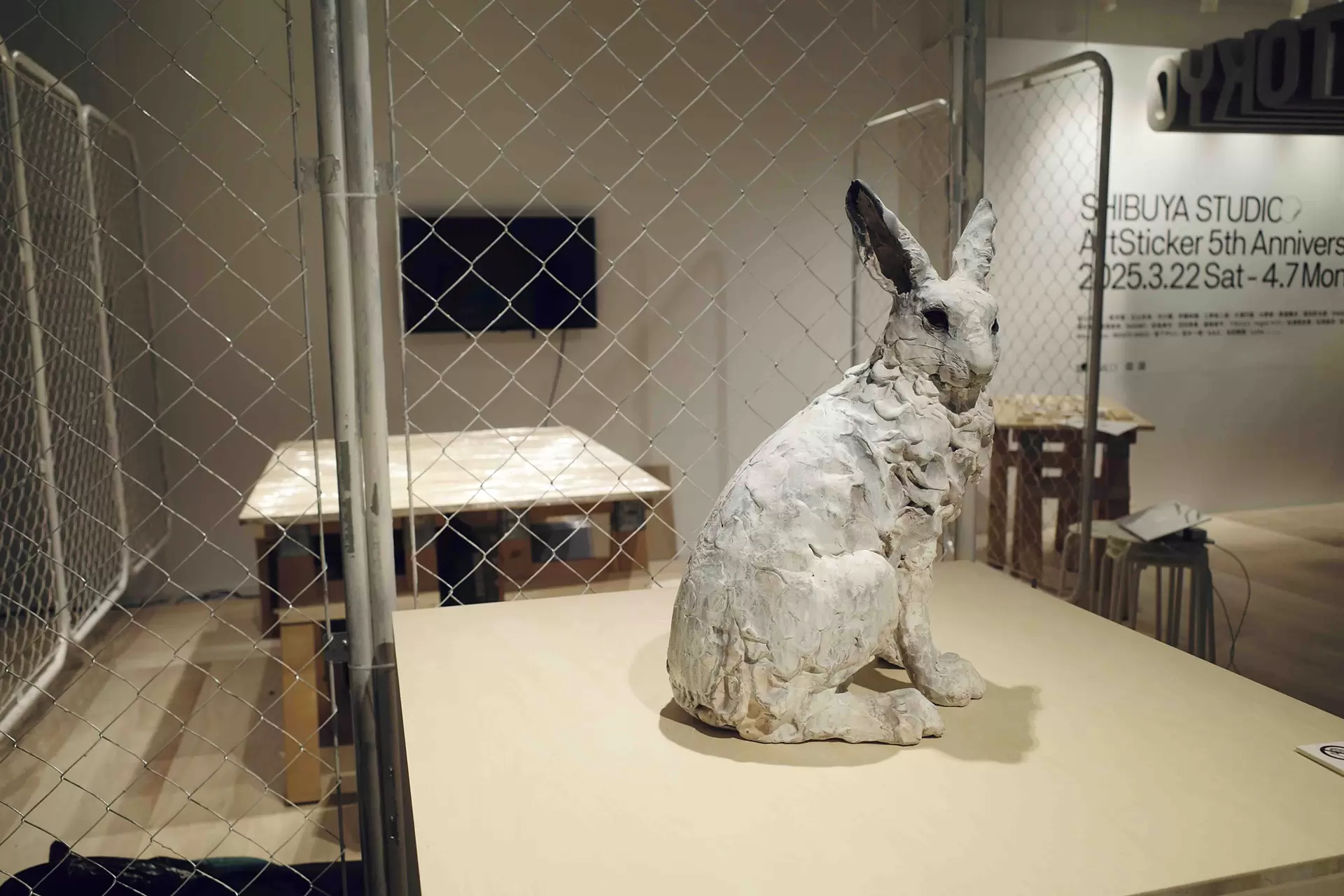 Arctic point - ホッキョクウサギ - by 瀬戸優 | 現代アートの販売・通販 | ArtSticker, image size:1920x1280