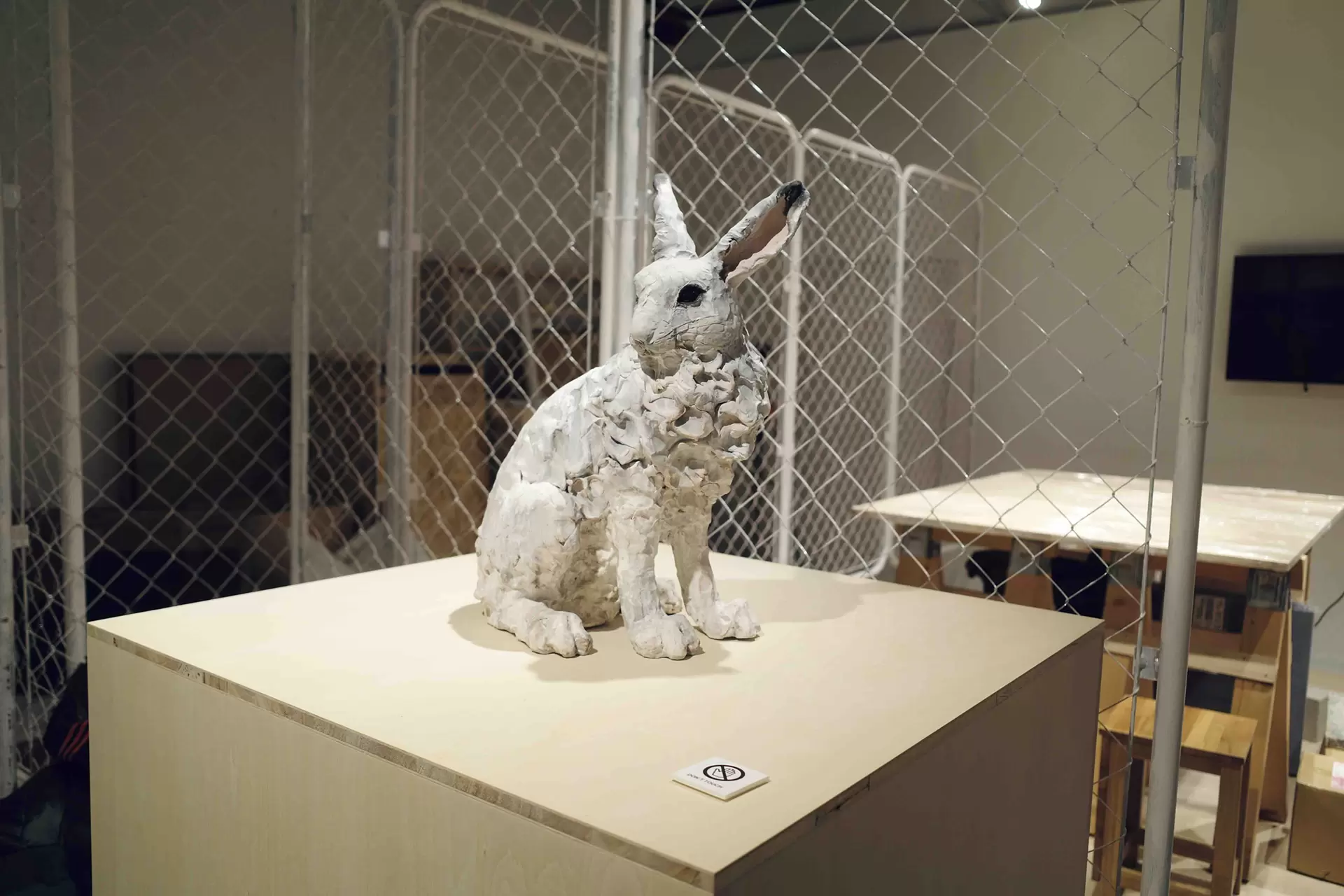 Arctic point - ホッキョクウサギ - by 瀬戸優 | 現代アートの販売