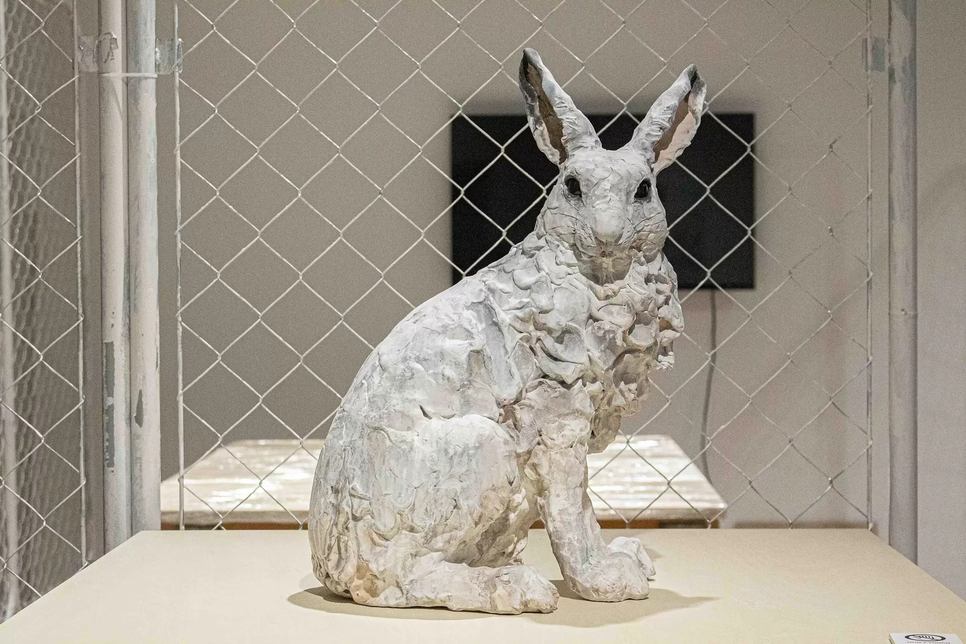 Arctic point - ホッキョクウサギ - by 瀬戸優 | 現代アートの販売