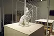 Arctic point - ホッキョクウサギ -