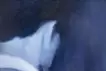 心遺整