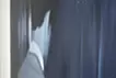 心遺整