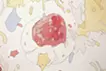 Star Sweet Star
