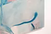 故郷