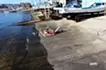 福岡電子報 • 函崎漂流