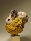 花咲けるエゾリス