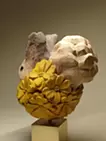 花咲けるエゾリス