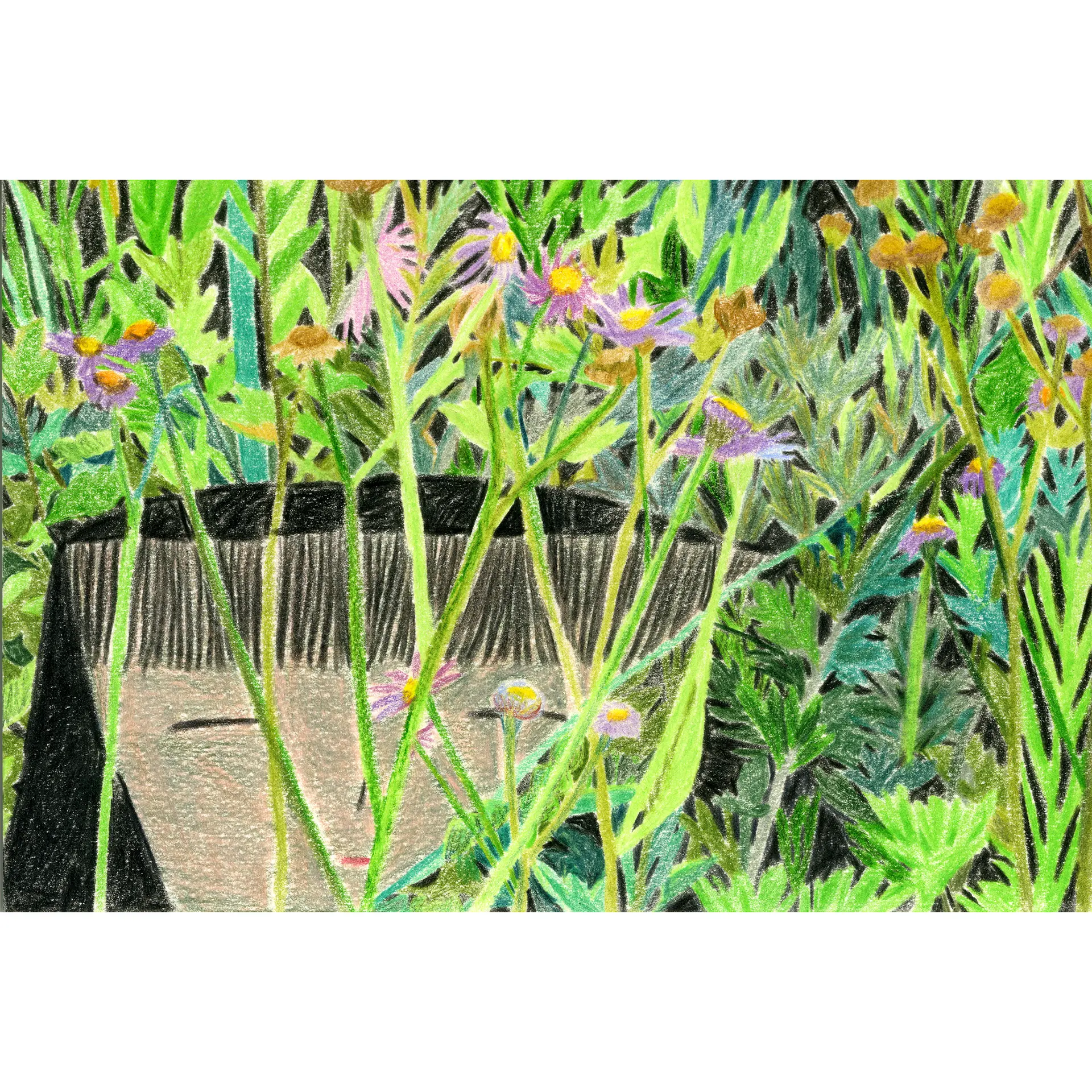 揺れる草花-pc1