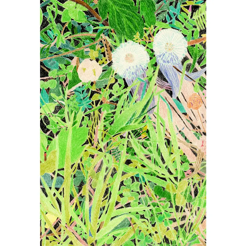 揺れる草花-pc４ by 下出 和美