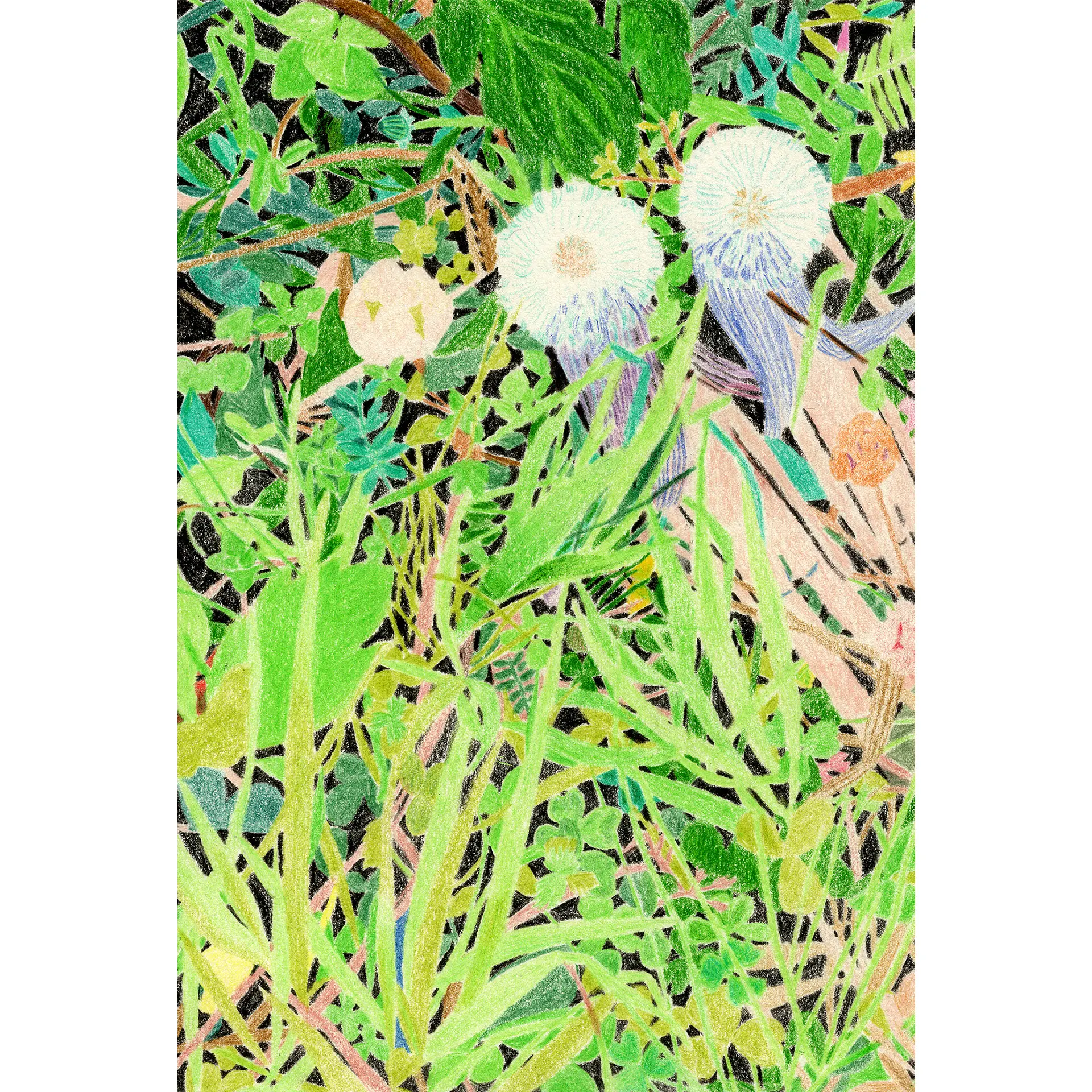 揺れる草花-pc4