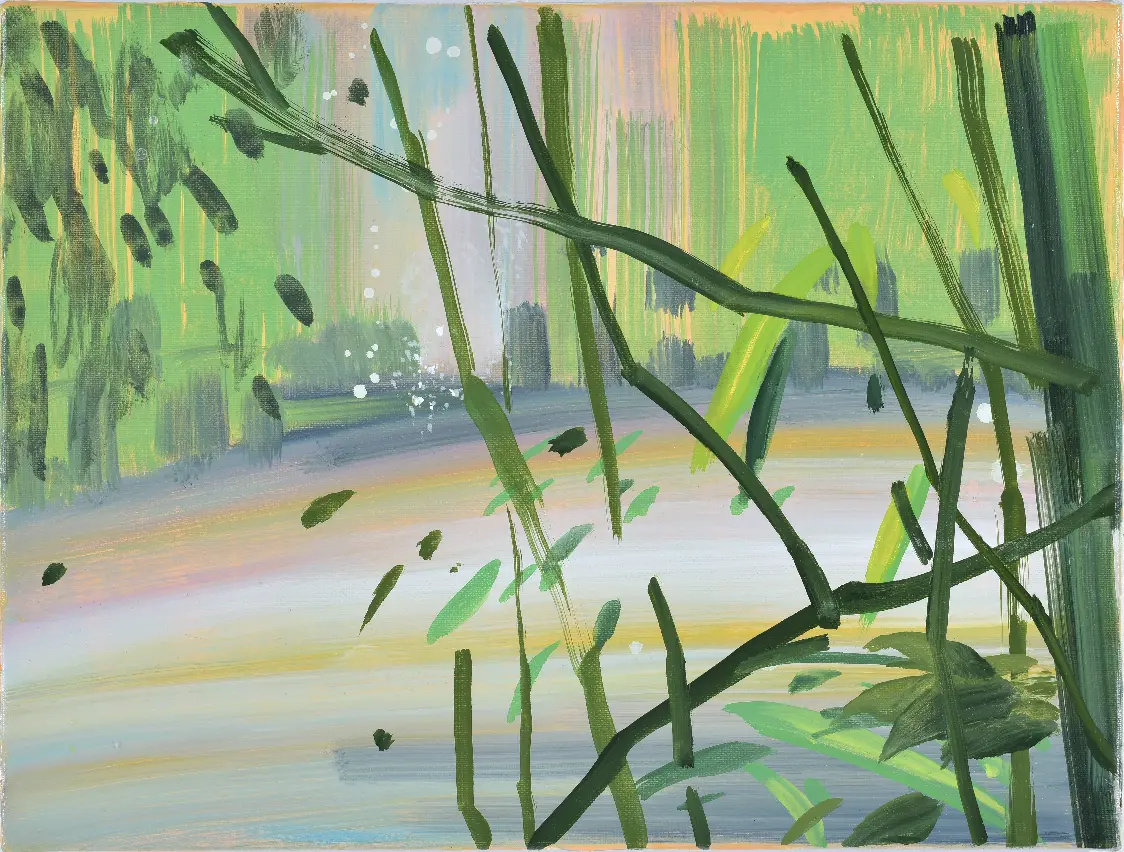 HIDDEN LAND / 隠れた場所 (Side Bush) 2018