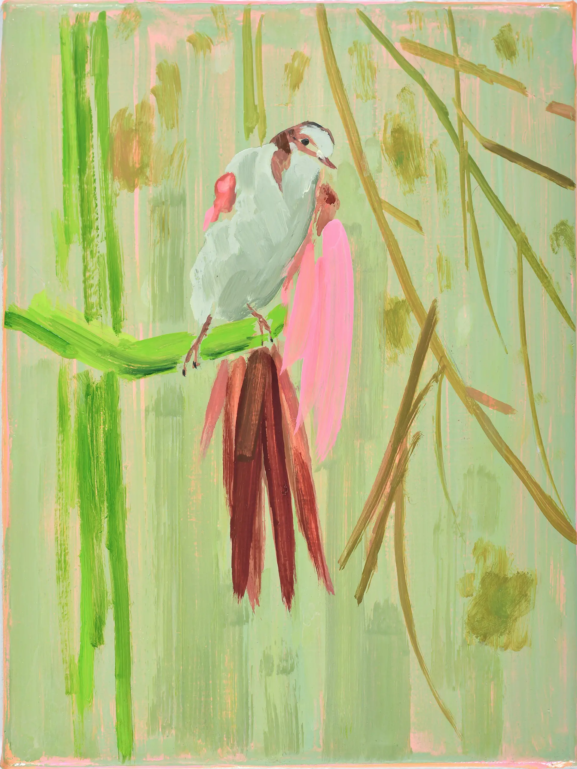 A BIRD WITH PINK WINGS /小鳥 (Pink Wings)