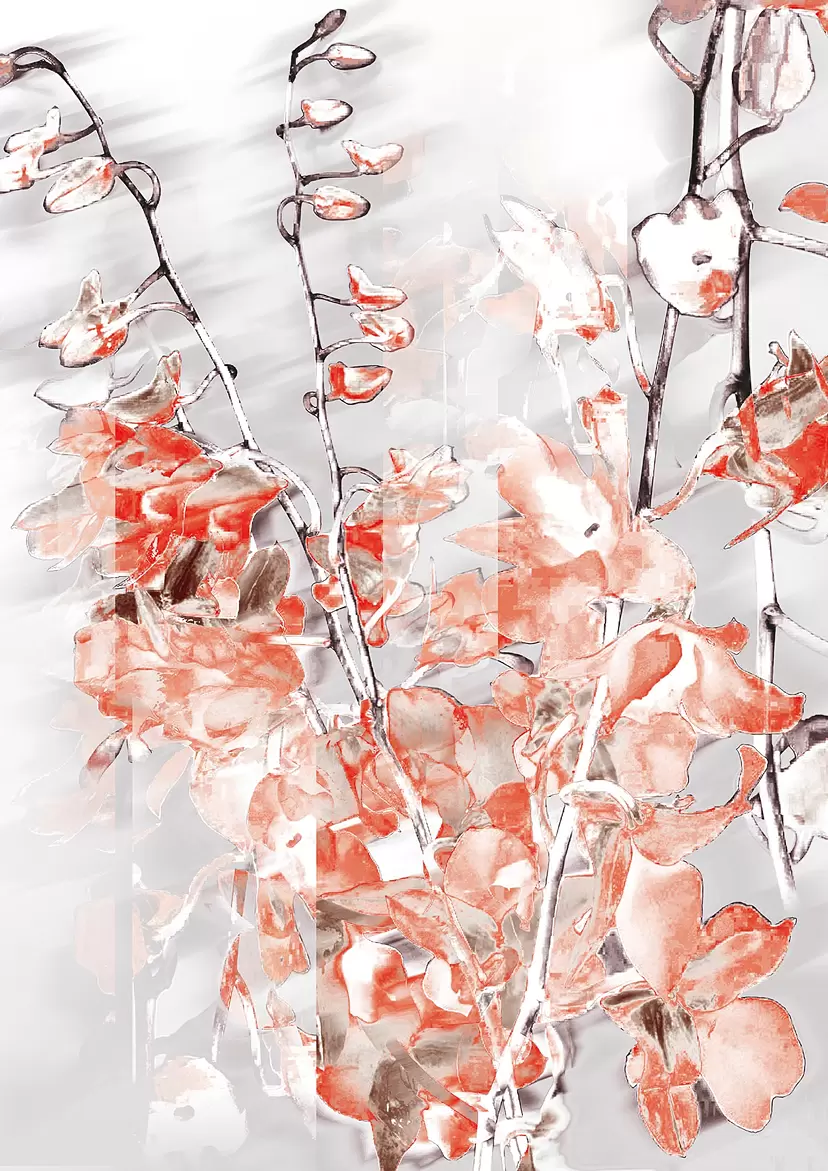 Cooktown Orchid(2024) by 楢崎恵美／EMMI NARASAKI