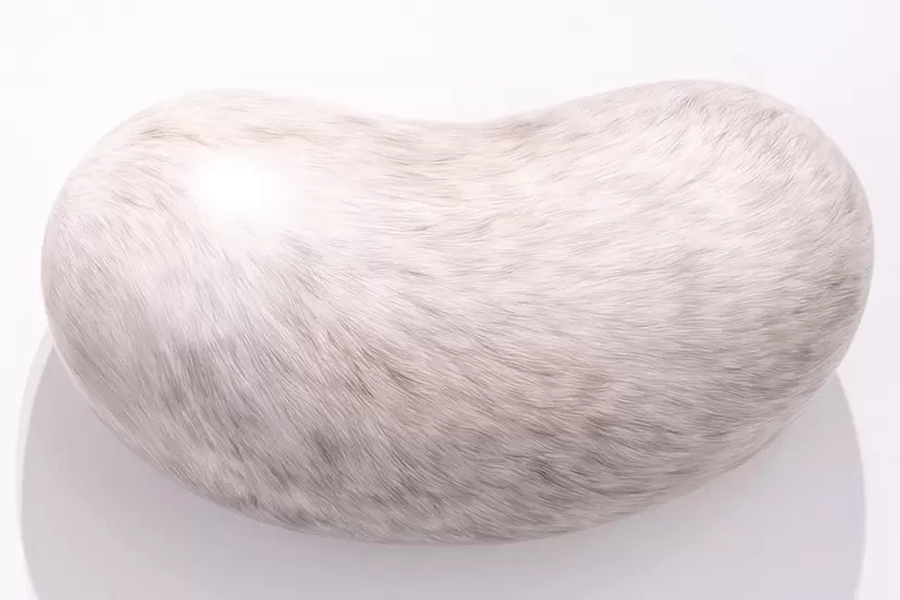 The fur of a painting lump by 中根 唯