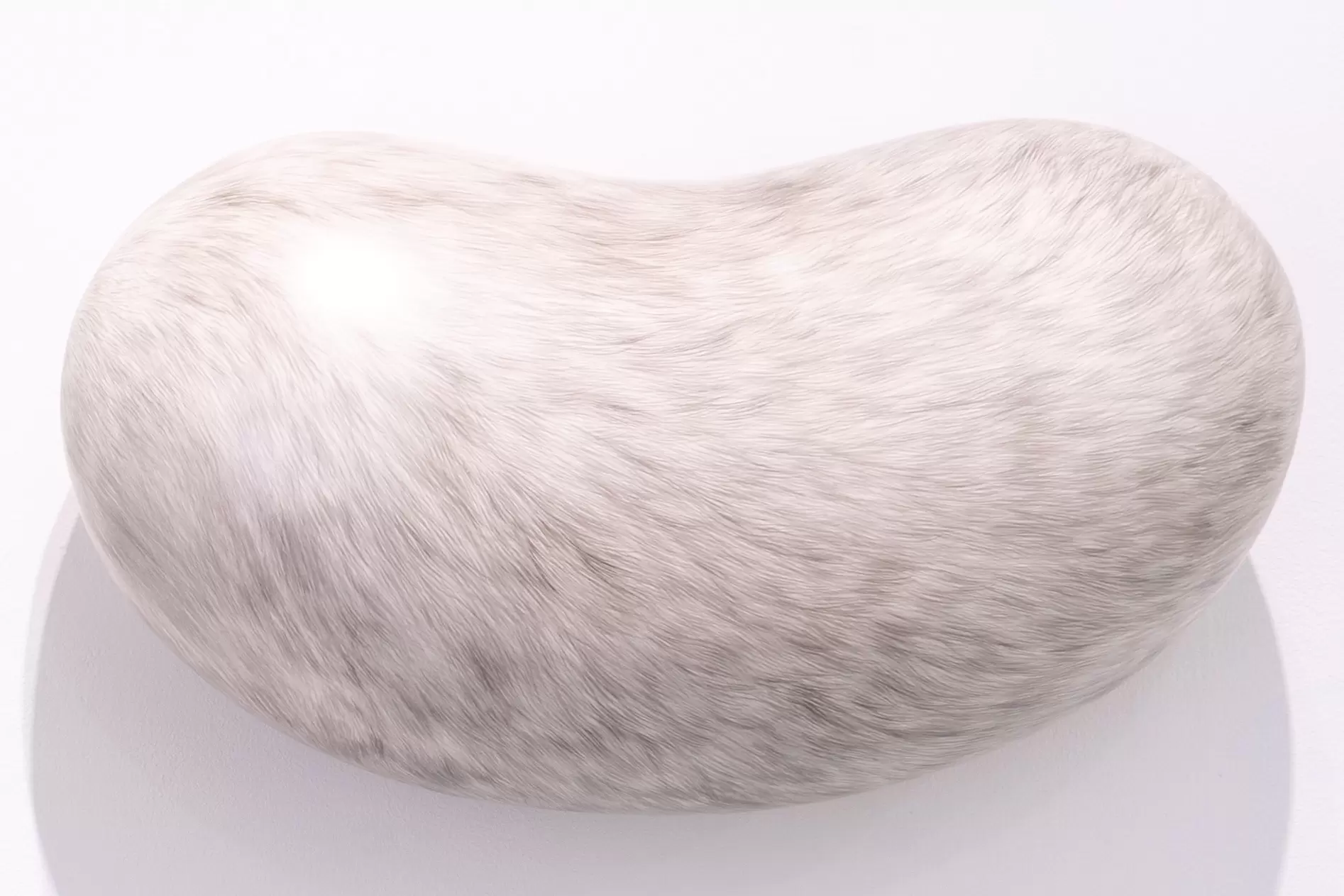 The fur of a painting lump