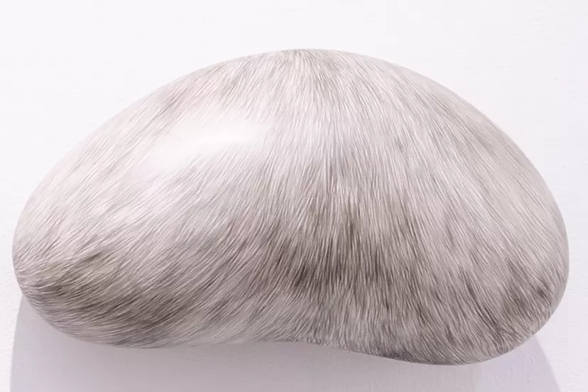 The fur of a painting lump by 中根 唯