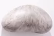 The fur of a painting lump