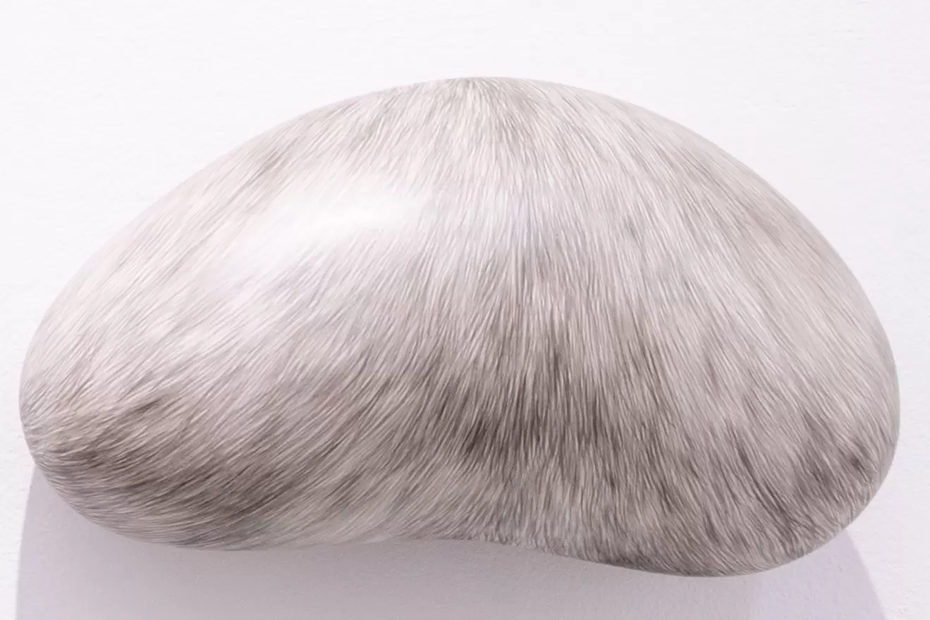The fur of a painting lump