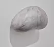 The fur of a painting lump