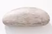 The fur of a painting lump