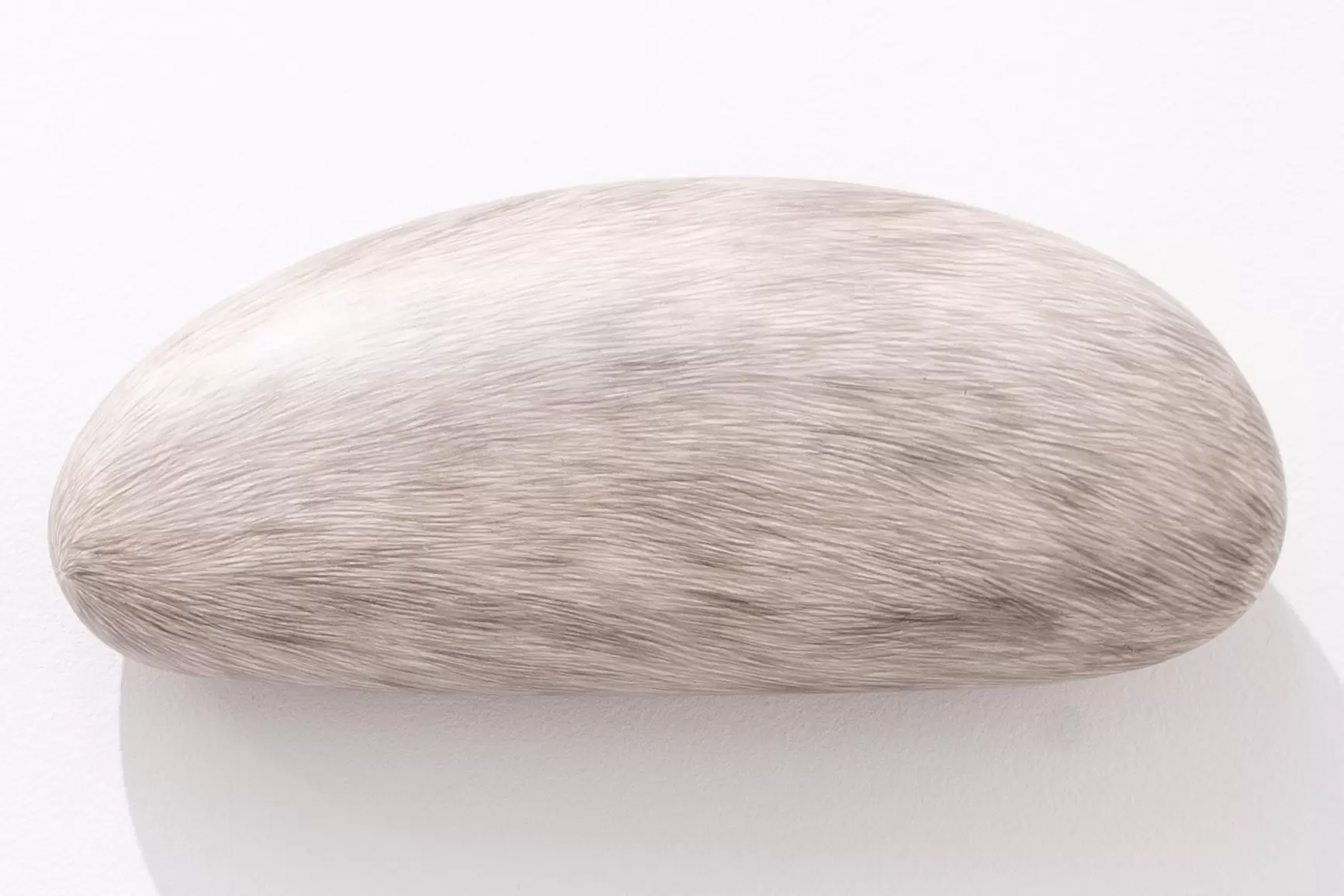 The fur of a painting lump
