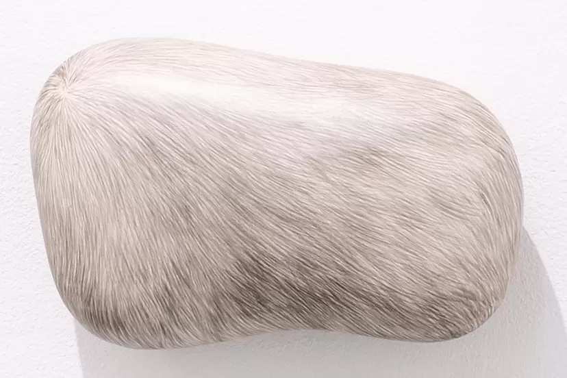 The fur of a painting lump by 中根 唯