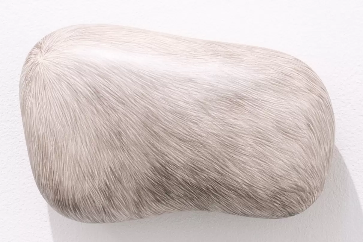 The fur of a painting lump