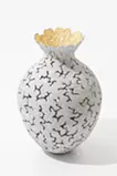Biophilia; Hatch Vase