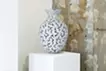 Biophilia; Hatch Vase