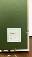 Layer