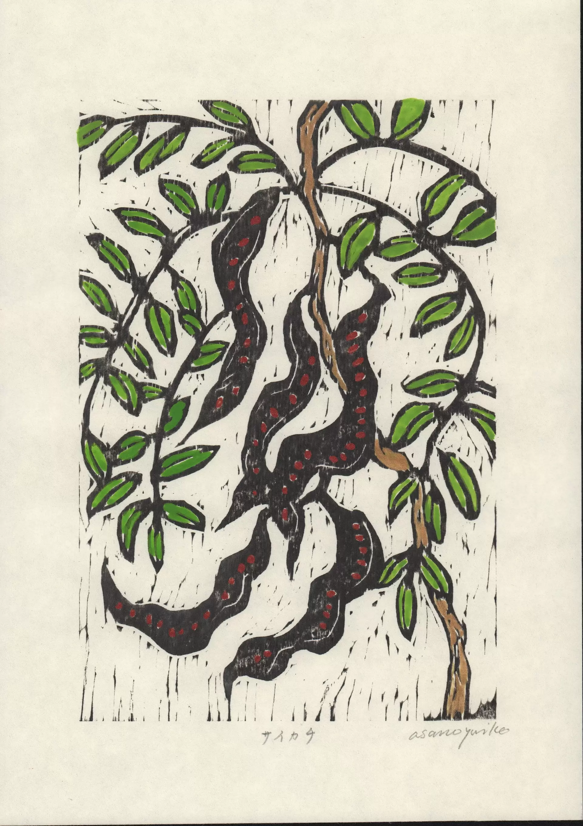 ARIKHA、Leeks in Green Wrappings、希少画集画 色々あったな〜③