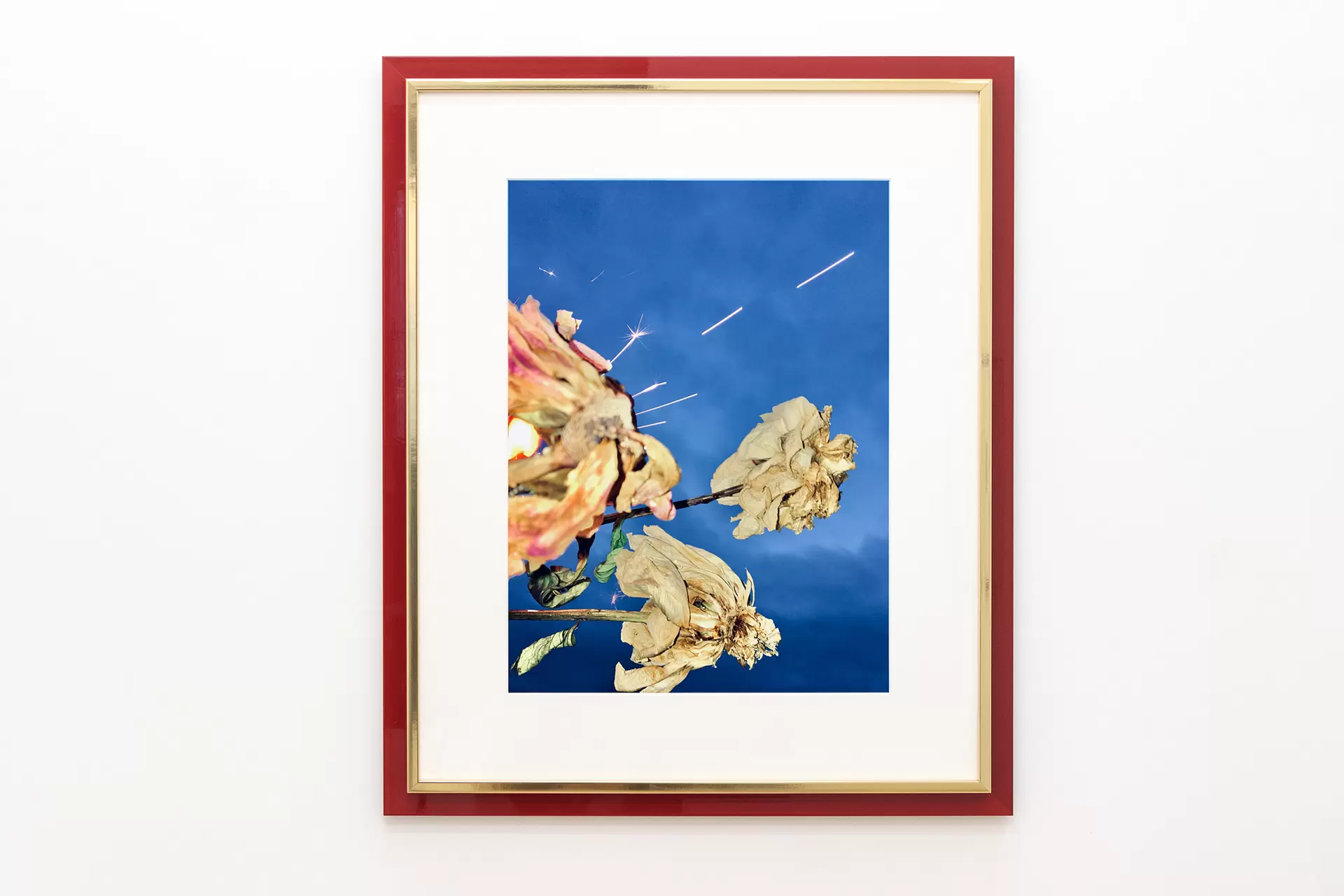 渡邊聖子的Summer Solstice 2020 | 当代艺术的网上艺术商店| ArtSticker