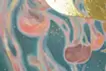 海月/まにまに