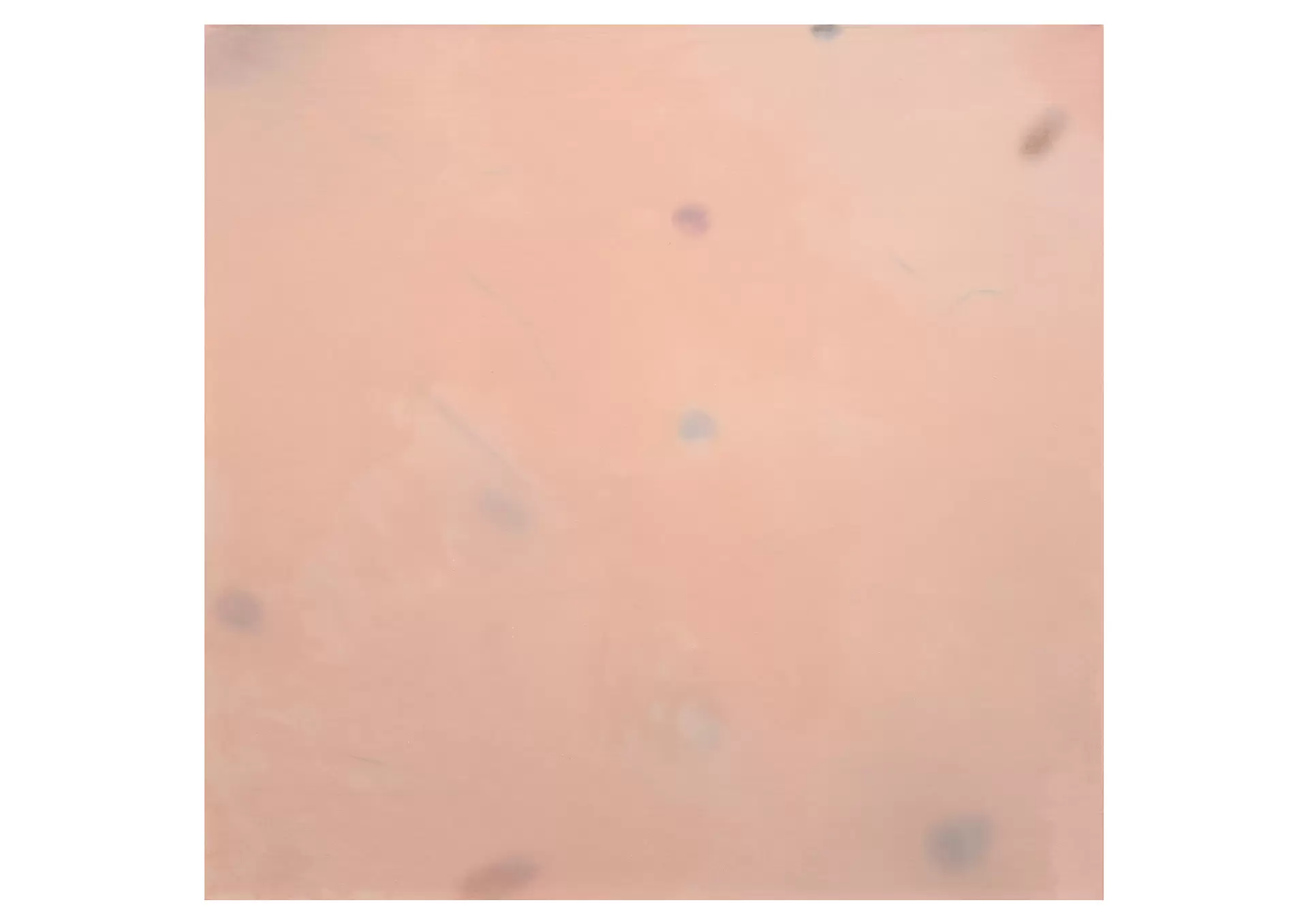 Skin Painting,Abstract(4)
