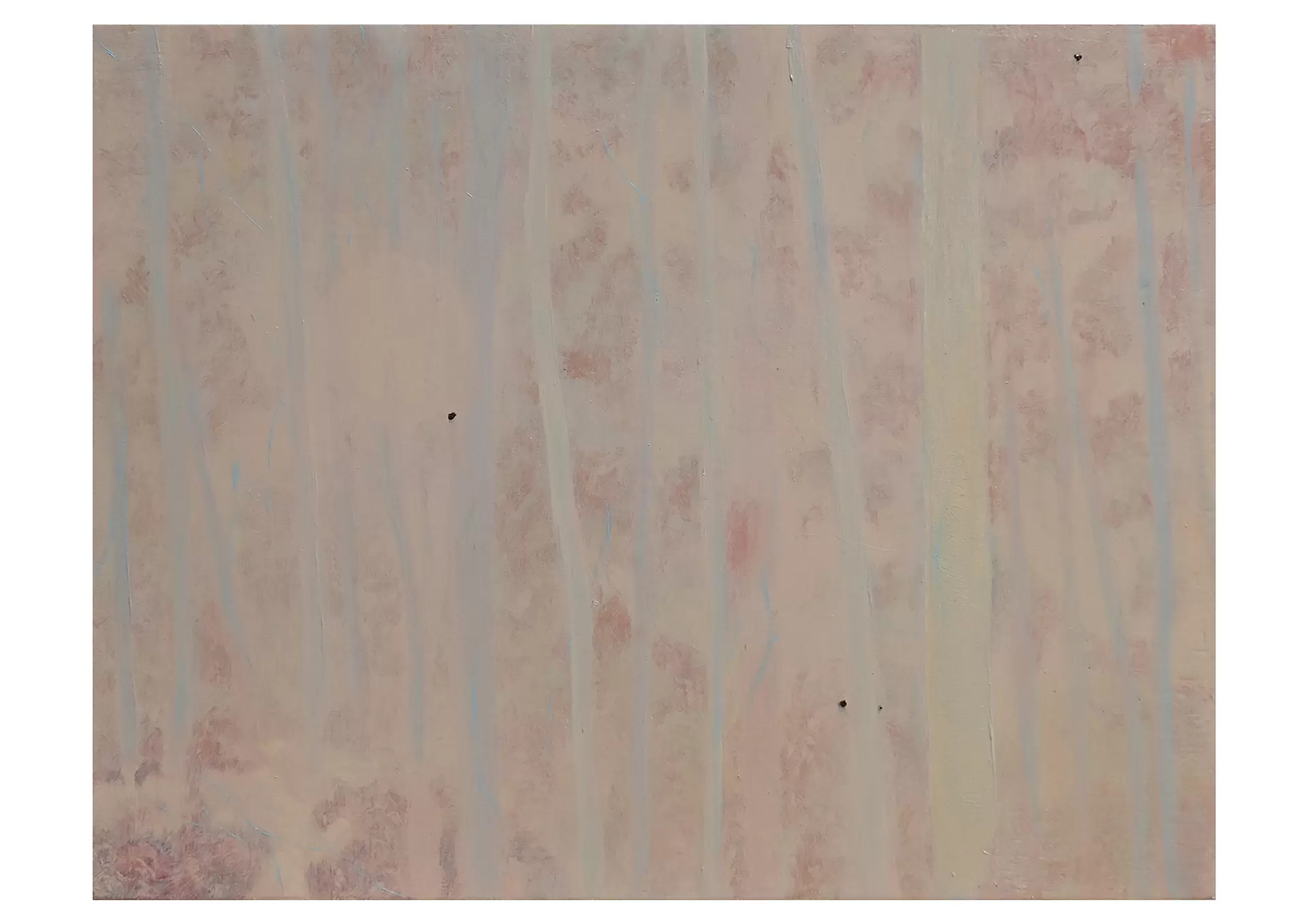 Skin Painting(36)