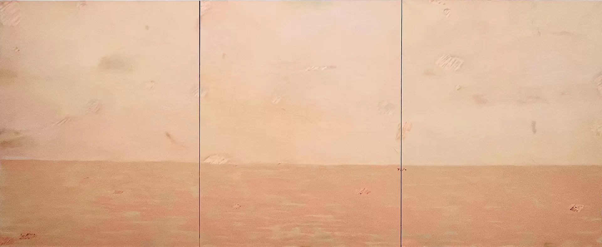 Skin Painting;The Sea(2)