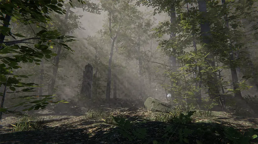 Forest by Naotaka Fujii + GRINDER-MAN + evala