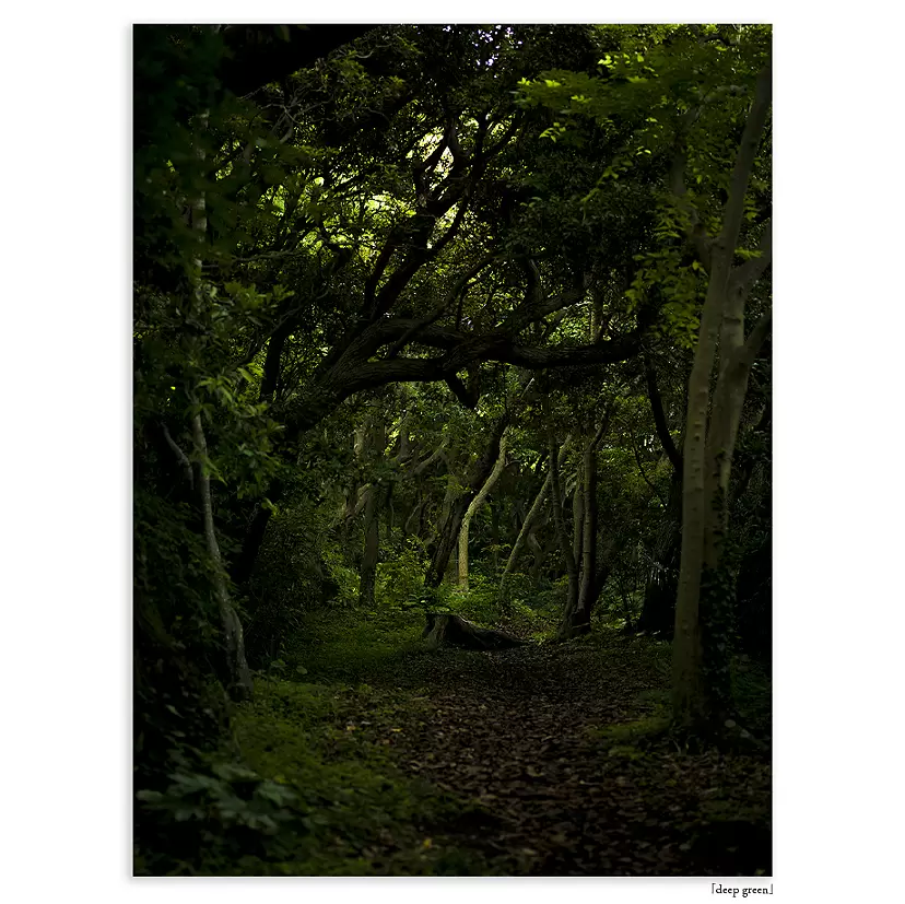 Deep green [print] by WATARU FURUTA