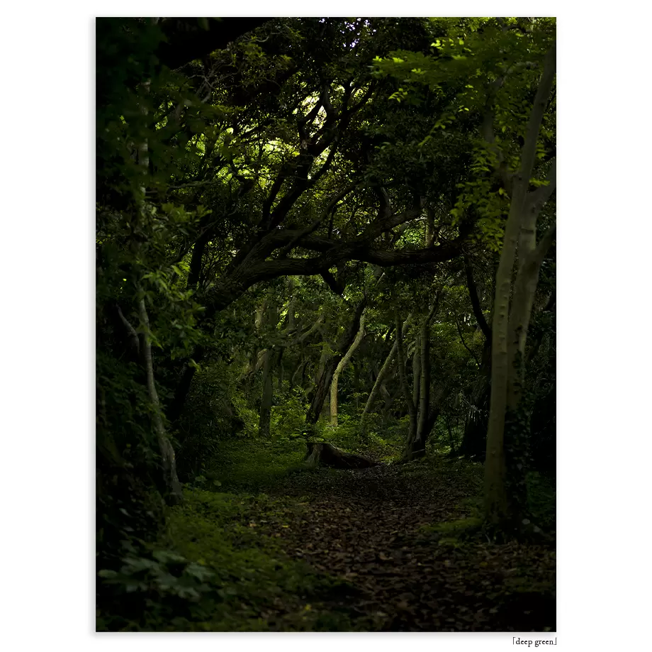 Deep green [print]