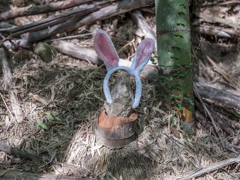 たけいしうさぎ / Bamboo, Stone, Rabbit by 鈴木淳