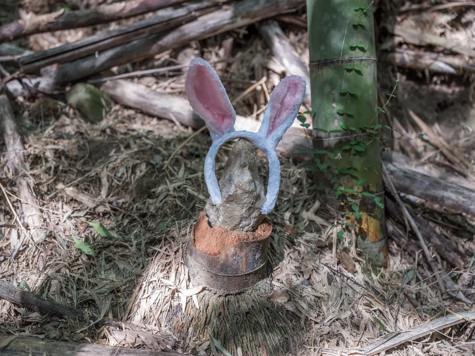 たけいしうさぎ / Bamboo, Stone, Rabbit