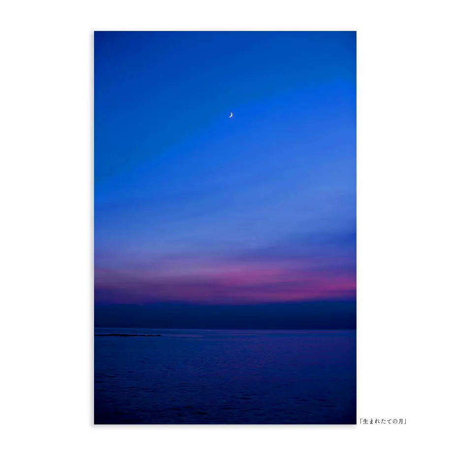 新生月 [列印]