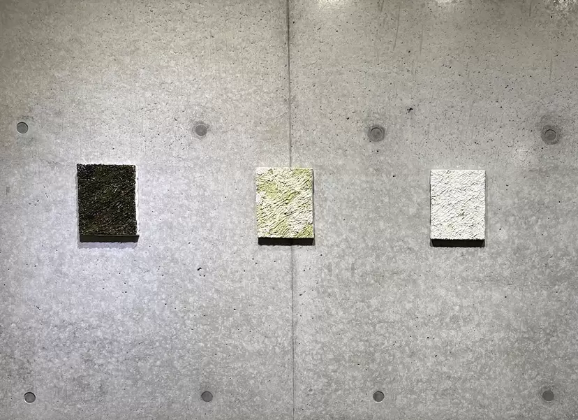 草むら (3set) by 宮川慶子