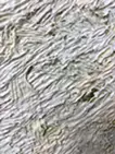 草むら (3set)