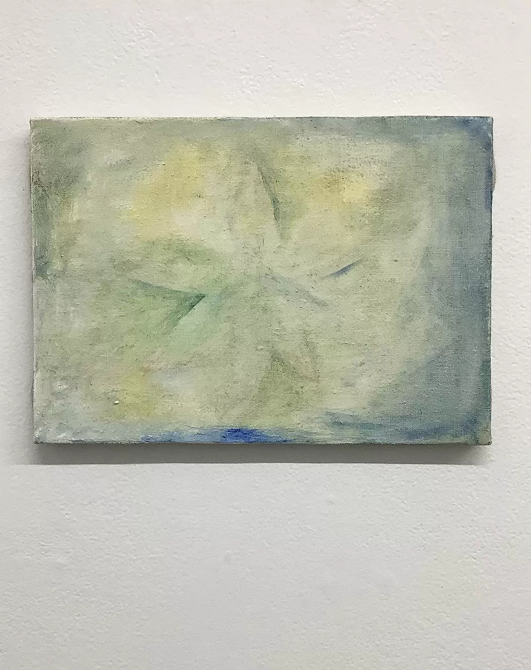 星の花