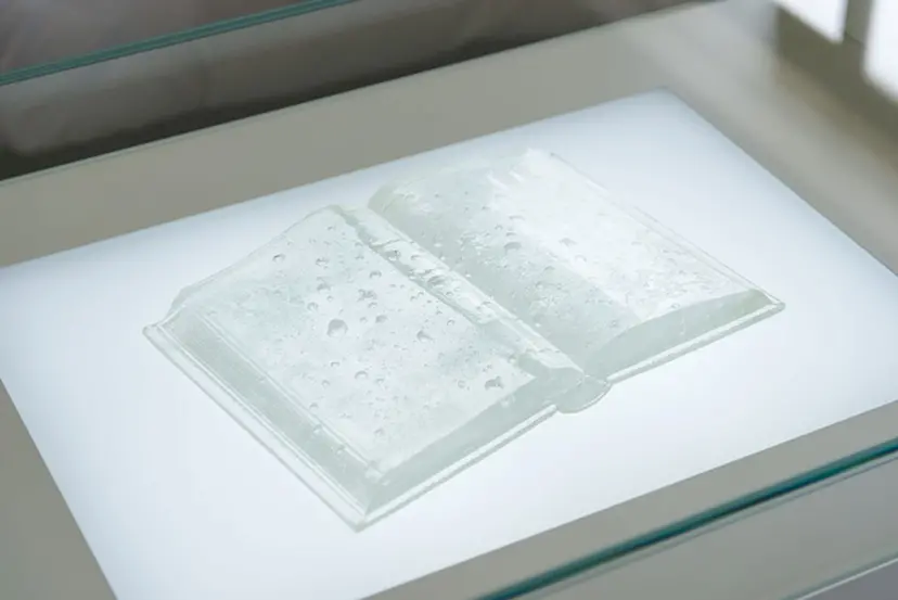 open book by 宮永愛子