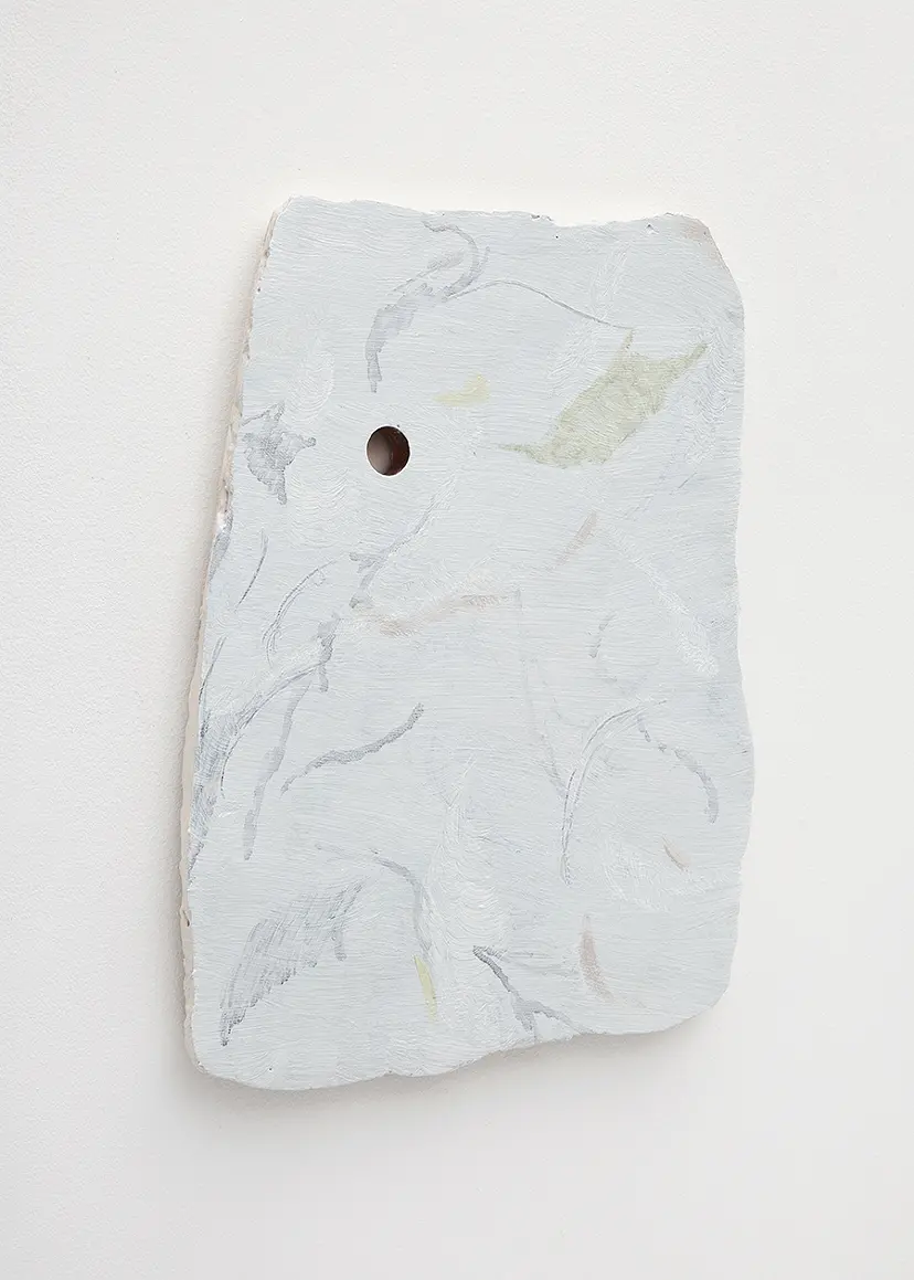 Untitled (TORINUKE) by Tomoya Matsuzaki